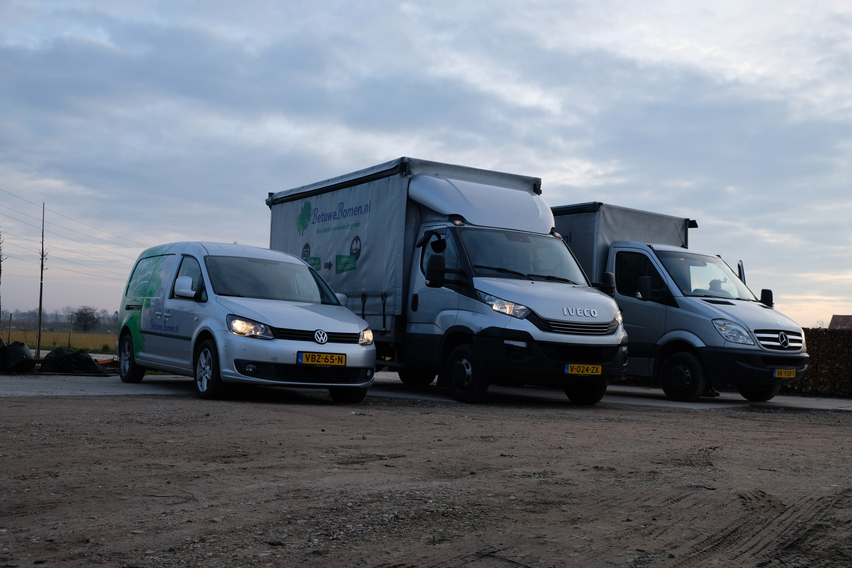 Bomen bezorgd op uw eigen gekozen bezorgdatum
