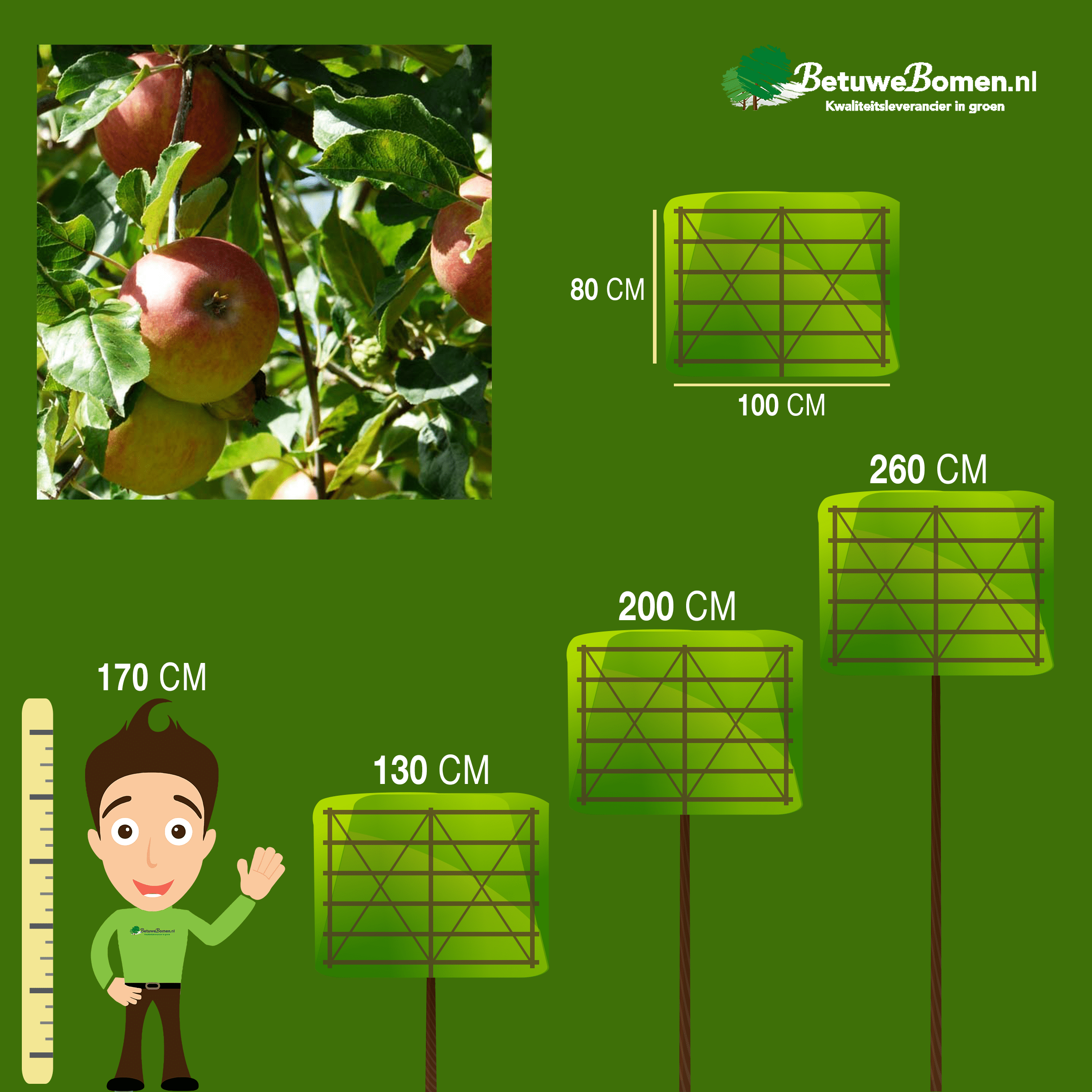 Leifruitbomen snoeien en verzorgen