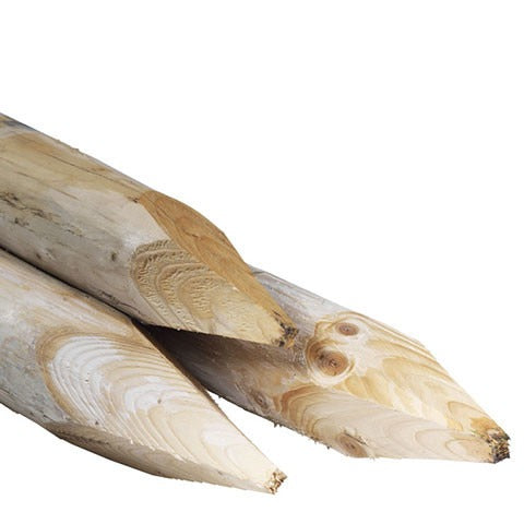 Boompaal natuurlijk